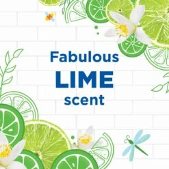 WC Eend Fresh Discs Navul Duo Lime 72 Ml -Schoonmaakproducten Winkel 1200x1200 327