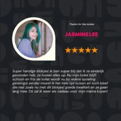 Merkloos Toiletblokjes Voor Inbouwreservoirs – WC-blokjes – Toiletblokken In Een Voordeelverpakking – 30 Stuks -Schoonmaakproducten Winkel 1200x1200 421