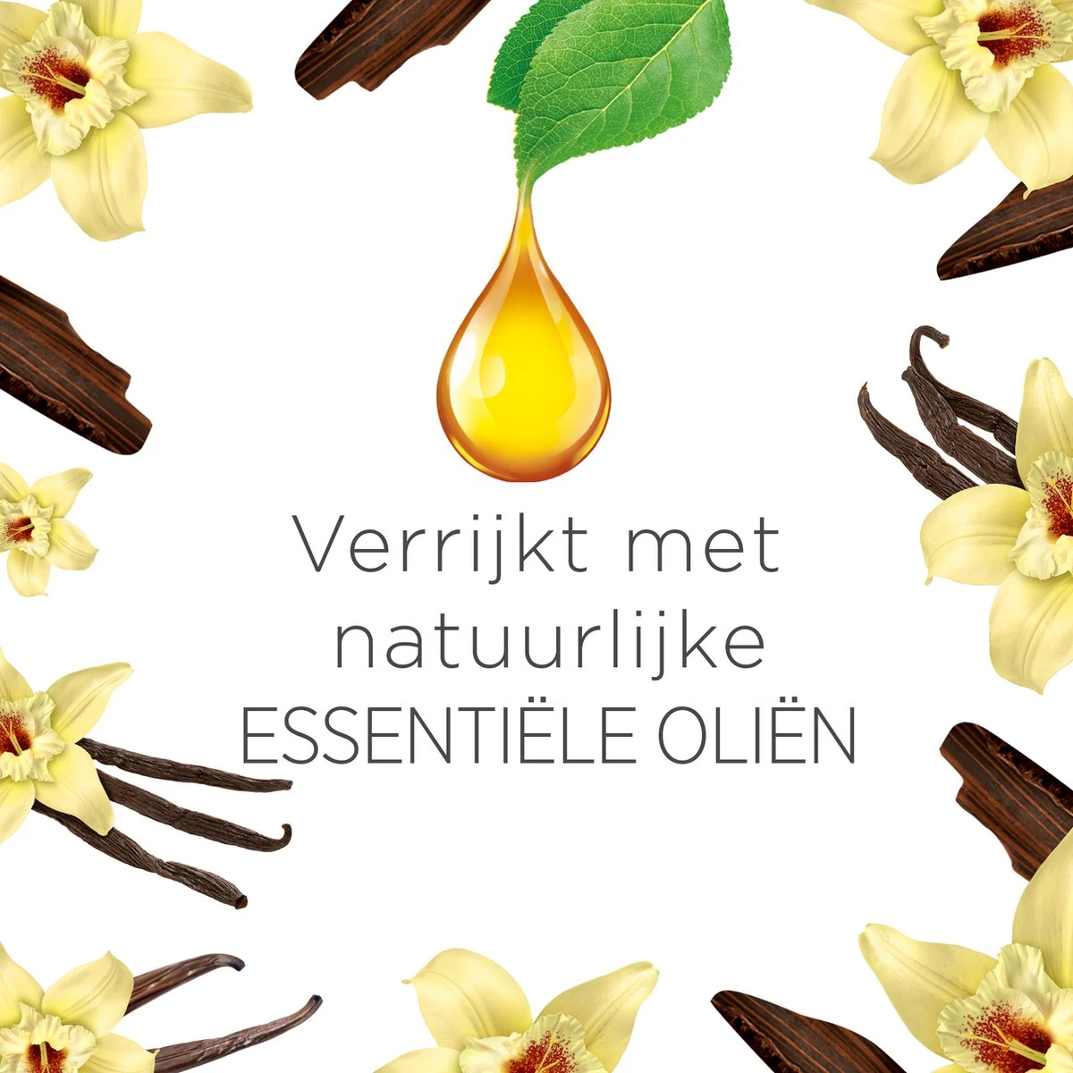 Air Wick Freshmatic Automatische Spray Luchtverfrisser - Ebbenhout & Vanille - 3 Navullingen 5 Air Wick Freshmatic Automatische Spray Luchtverfrisser - Ebbenhout & Vanille - 3 Navullingen - Afbeelding 3