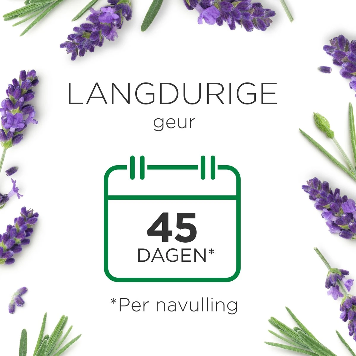 Air Wick Essential Mist Luchtverfrisser - Ontspannende Lavendel - 1 Zwart Apparaat + 2 Navullingen 10 Air Wick Essential Mist Luchtverfrisser - Ontspannende Lavendel - 1 Zwart Apparaat + 2 Navullingen - Afbeelding 8