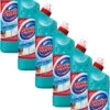 Glorix Extended Power Eucalyptus Bleek Javel 6x750ML -Schoonmaakproducten Winkel 750x1200 2